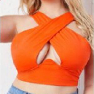 Plus Crisscross Crop Top
